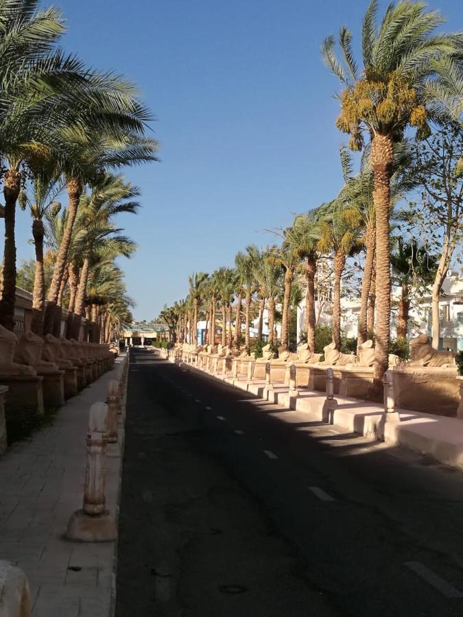 Appartement Mirage & Aqua Park Hurghada
